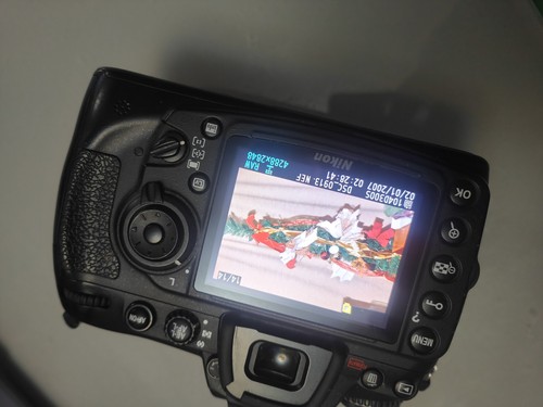 Nikon d300s 3mp digital slr - digital,